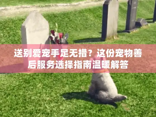 送别爱宠手足无措？这份宠物善后服务选择指南温暖解答