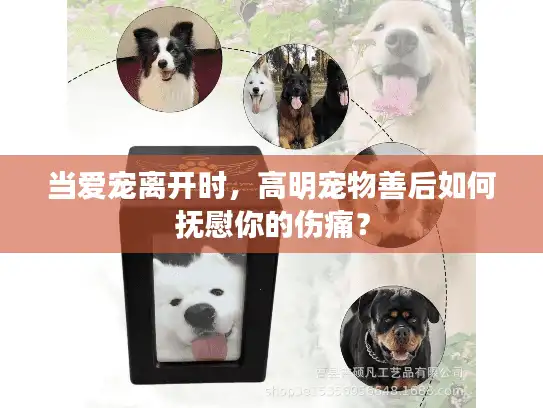 当爱宠离开时，高明宠物善后如何抚慰你的伤痛？