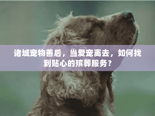 诸城宠物善后,当爱宠离去,如何找到贴心的殡葬服务? 诸城宠物善后,当爱宠离去,如何找到贴心的殡葬服务?