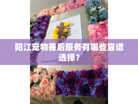 阳江宠物善后服务有哪些靠谱选择？