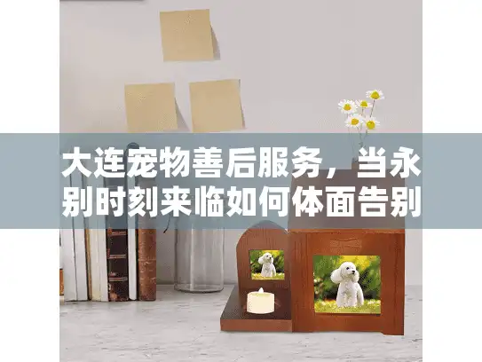 大连宠物善后服务，当永别时刻来临如何体面告别爱宠