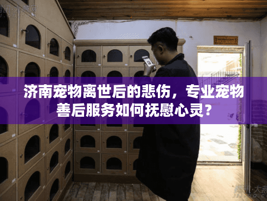 济南宠物离世后的悲伤，专业宠物善后服务如何抚慰心灵？