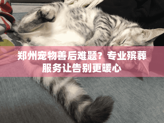 郑州宠物善后难题？专业殡葬服务让告别更暖心