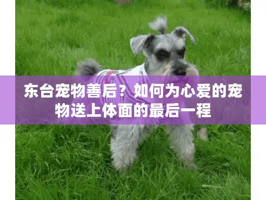东台宠物善后?如何为心爱的宠物送上体面的最后一程 东台宠物善后?如何为心爱的宠物送上体面的最后一程