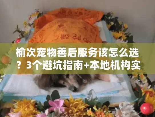 榆次宠物善后服务该怎么选？3个避坑指南+本地机构实地探访