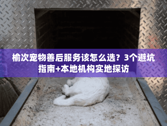 榆次宠物善后服务该怎么选？3个避坑指南+本地机构实地探访