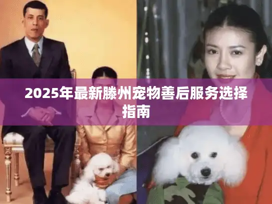 2025年最新滕州宠物善后服务选择指南