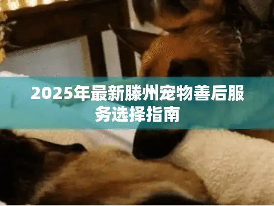 2025年最新滕州宠物善后服务选择指南
