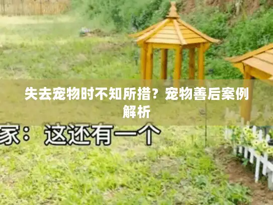失去宠物时不知所措?宠物善后案例解析 失去宠物时不知所措?宠物善后案例解析