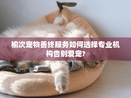 榆次宠物善终服务如何选择专业机构告别爱宠? 榆次宠物善终服务如何选择专业机构告别爱宠?