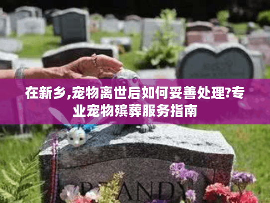 在新乡,宠物离世后如何妥善处理?专业宠物殡葬服务指南