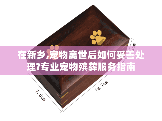 在新乡,宠物离世后如何妥善处理?专业宠物殡葬服务指南
