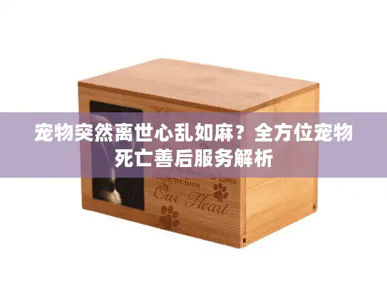 宠物突然离世心乱如麻？全方位宠物死亡善后服务解析