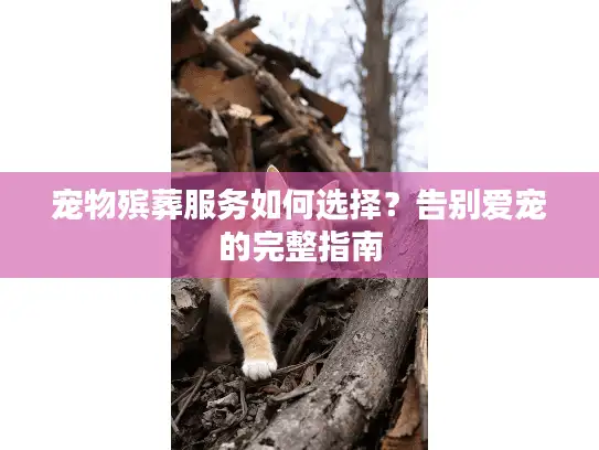 宠物殡葬服务如何选择？告别爱宠的完整指南