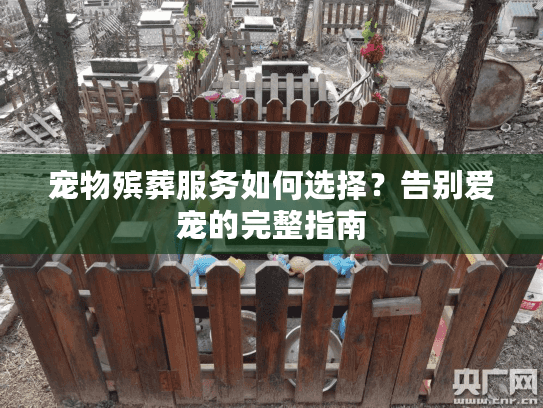 宠物殡葬服务如何选择？告别爱宠的完整指南