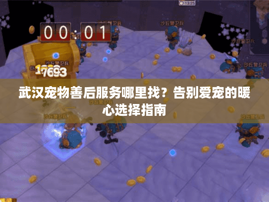 武汉宠物善后服务哪里找？告别爱宠的暖心选择指南