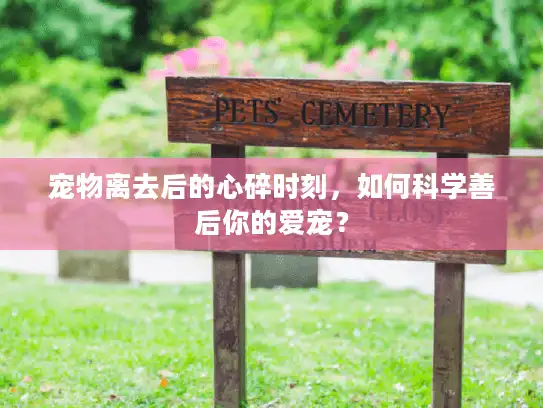 宠物离去后的心碎时刻,如何科学善后你的爱宠? 宠物离去后的心碎时刻,如何科学善后你的爱宠?