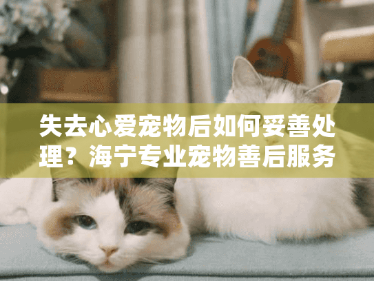 失去心爱宠物后如何妥善处理？海宁专业宠物善后服务指南