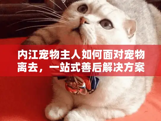 内江宠物主人如何面对宠物离去,一站式善后解决方案 内江宠物主人如何面对宠物离去,一站式善后解决方案
