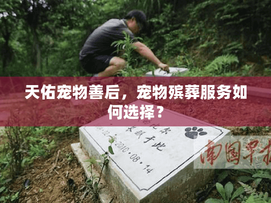 天佑宠物善后，宠物殡葬服务如何选择？