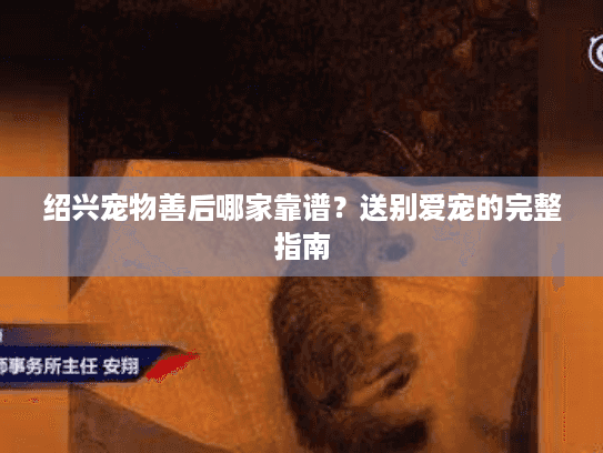 绍兴宠物善后哪家靠谱？送别爱宠的完整指南