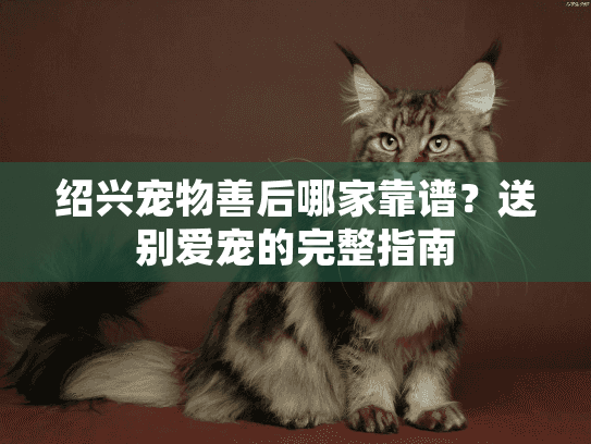 绍兴宠物善后哪家靠谱？送别爱宠的完整指南