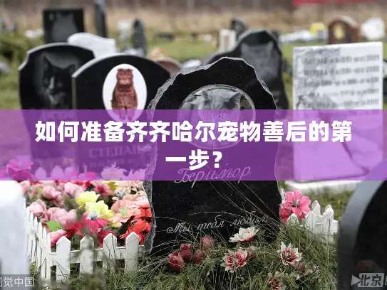 如何准备齐齐哈尔宠物善后的第一步？