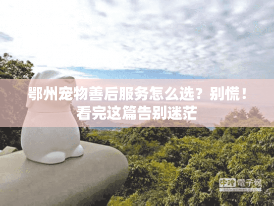 鄂州宠物善后服务怎么选？别慌！看完这篇告别迷茫