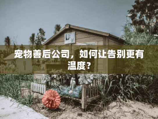 宠物善后公司，如何让告别更有温度？