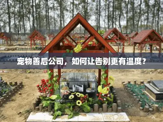 宠物善后公司，如何让告别更有温度？