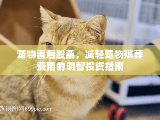 宠物善后股票,减轻宠物殡葬费用的明智投资指南 宠物善后股票,减轻宠物殡葬费用的明智投资指南