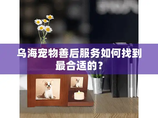 乌海宠物善后服务如何找到最合适的？