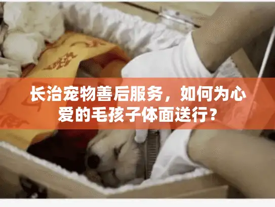 长治宠物善后服务，如何为心爱的毛孩子体面送行？