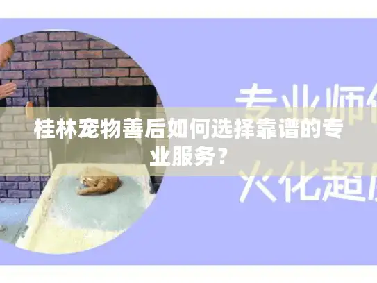 桂林宠物善后如何选择靠谱的专业服务？