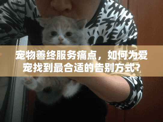 宠物善终服务痛点,如何为爱宠找到最合适的告别方式? 宠物善终服务痛点,如何为爱宠找到最合适的告别方式?