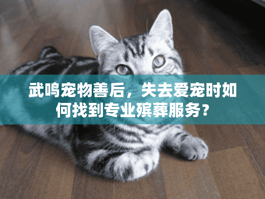 武鸣宠物善后,失去爱宠时如何找到专业殡葬服务? 武鸣宠物善后,失去爱宠时如何找到专业殡葬服务?