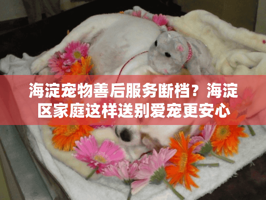海淀宠物善后服务断档？海淀区家庭这样送别爱宠更安心