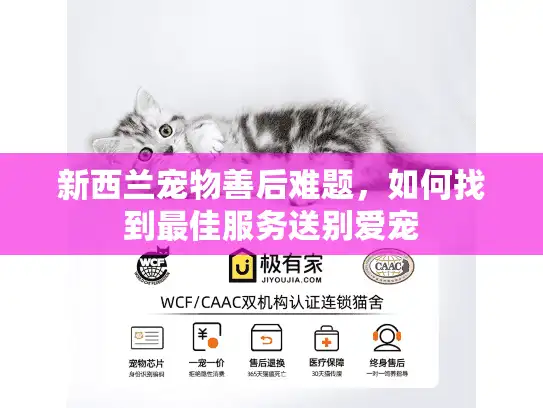 新西兰宠物善后难题,如何找到最佳服务送别爱宠 新西兰宠物善后难题,如何找到最佳服务送别爱宠