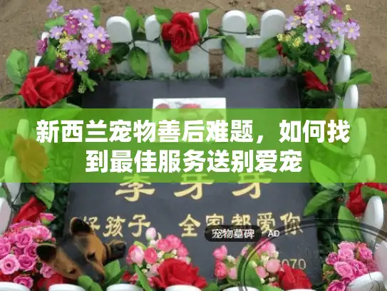 新西兰宠物善后难题,如何找到最佳服务送别爱宠 新西兰宠物善后难题,如何找到最佳服务送别爱宠
