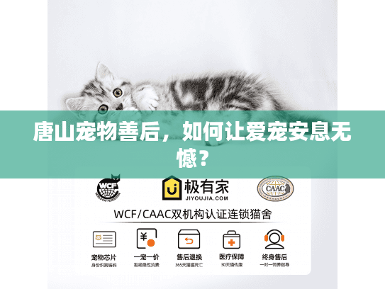 唐山宠物善后，如何让爱宠安息无憾？