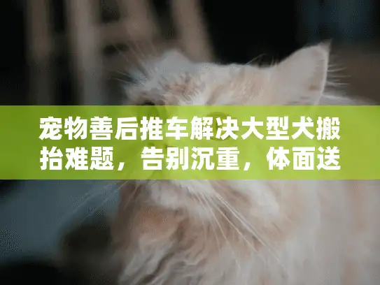 宠物善后推车解决大型犬搬抬难题，告别沉重，体面送别爱宠