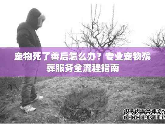 宠物死了善后怎么办?专业宠物殡葬服务全流程指南 宠物死了善后怎么办?专业宠物殡葬服务全流程指南
