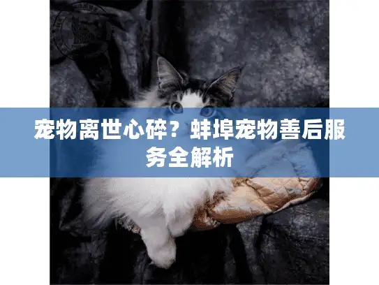 宠物离世心碎?蚌埠宠物善后服务全解析 宠物离世心碎?蚌埠宠物善后服务全解析