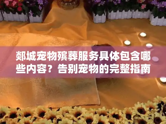 郯城宠物殡葬服务具体包含哪些内容？告别宠物的完整指南