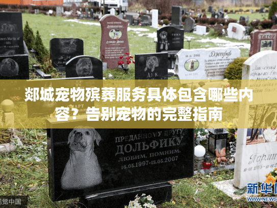 郯城宠物殡葬服务具体包含哪些内容？告别宠物的完整指南