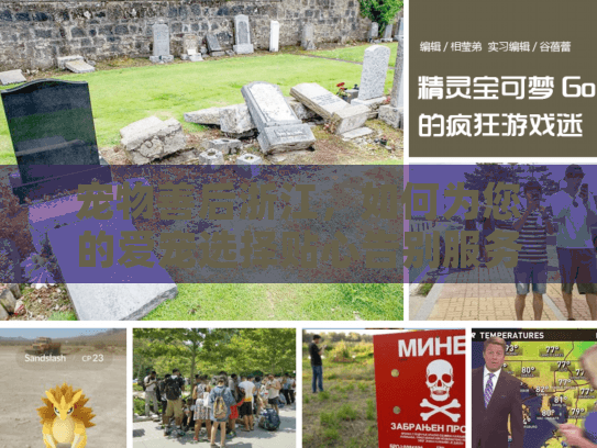 宠物善后浙江，如何为您的爱宠选择贴心告别服务？