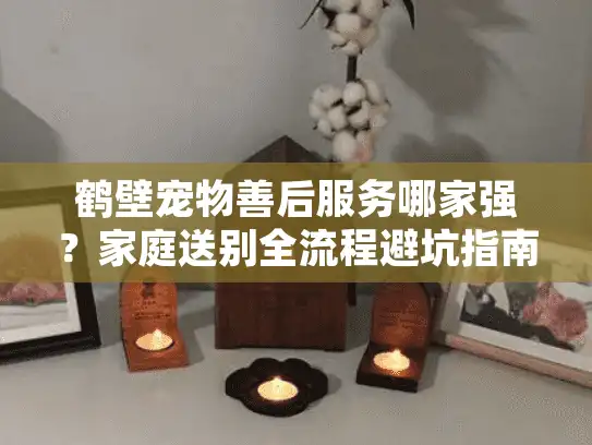 鹤壁宠物善后服务哪家强？家庭送别全流程避坑指南