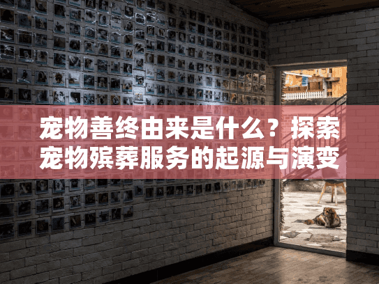 宠物善终由来是什么?探索宠物殡葬服务的起源与演变 宠物善终由来是什么?探索宠物殡葬服务的起源与演变