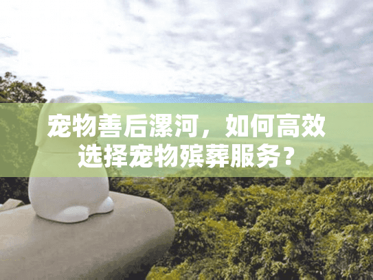 宠物善后漯河，如何高效选择宠物殡葬服务？