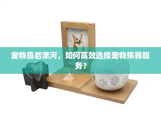 宠物善后漯河，如何高效选择宠物殡葬服务？